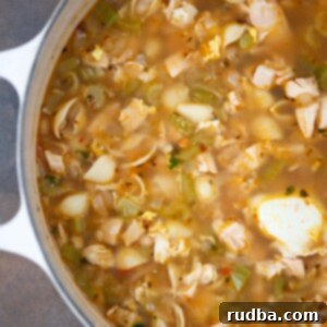 Protein-Packed Chicken Noodle Delight 2 high protein chicken noodle soup in a dutch oven.