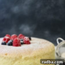 Japanese Cotton Cheesecake 5 Japanese Cotton Cheesecake with fresh fruit and powdered sugar