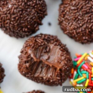 Brazilian Fudge Truffle 2 brigadeiros up close.