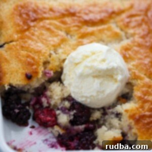 Homemade Blackberry Cobbler 2 blackberry cobbler with vanilla ice cream on top.