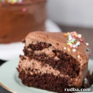 A two layer slice of chocolate cake with frosting and sprinkles.