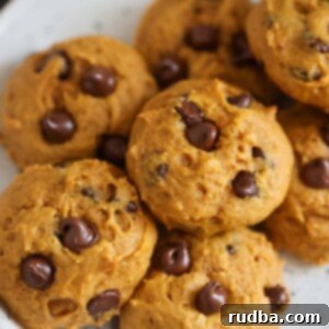 Irresistible Pumpkin Chocolate Chip Cookies 2 pumpkin chocolate chip cookies on a plate.