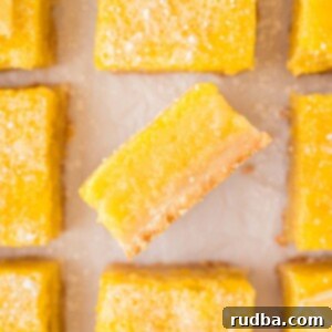 lemon bars up close.