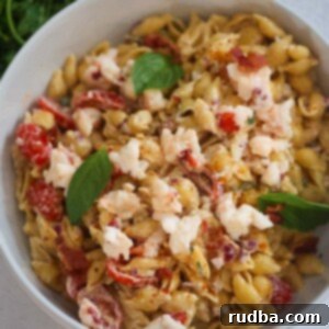 Gourmet Lobster Pasta Salad 2 Lobster pasta salad with fresh basil on top.