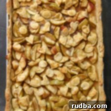 Golden Apple Slab Delight 5 big slab apple pie