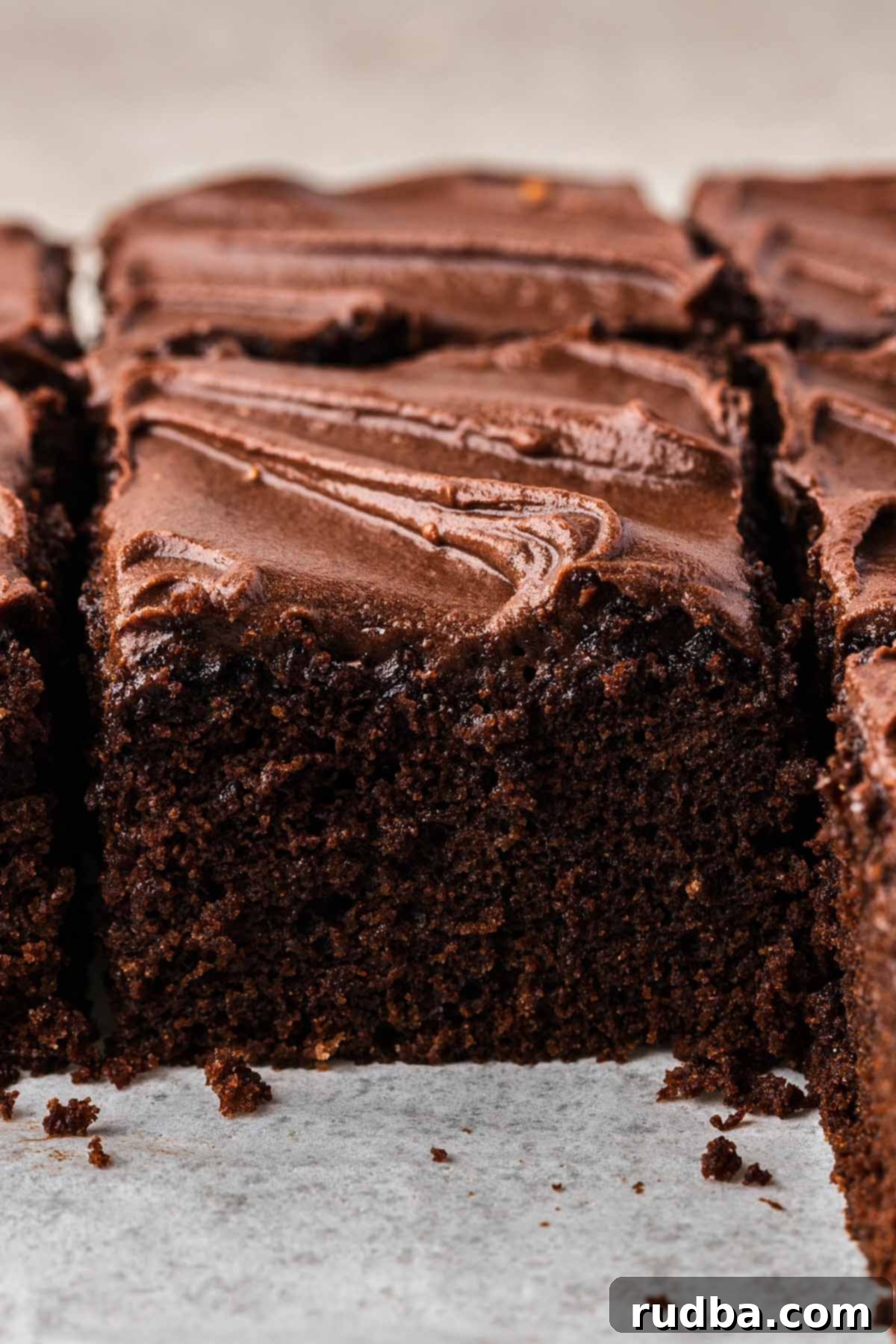 Chocolate Wacky Cake 2 A perfectly sliced piece of moist chocolate wacky cake on a plate, showing its rich, dark crumb.