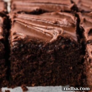 Chocolate Wacky Cake 6 A slice of moist chocolate wacky cake up close, showcasing its rich texture.