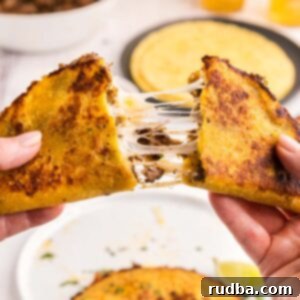 A hand holding up a birria taco with cheese.