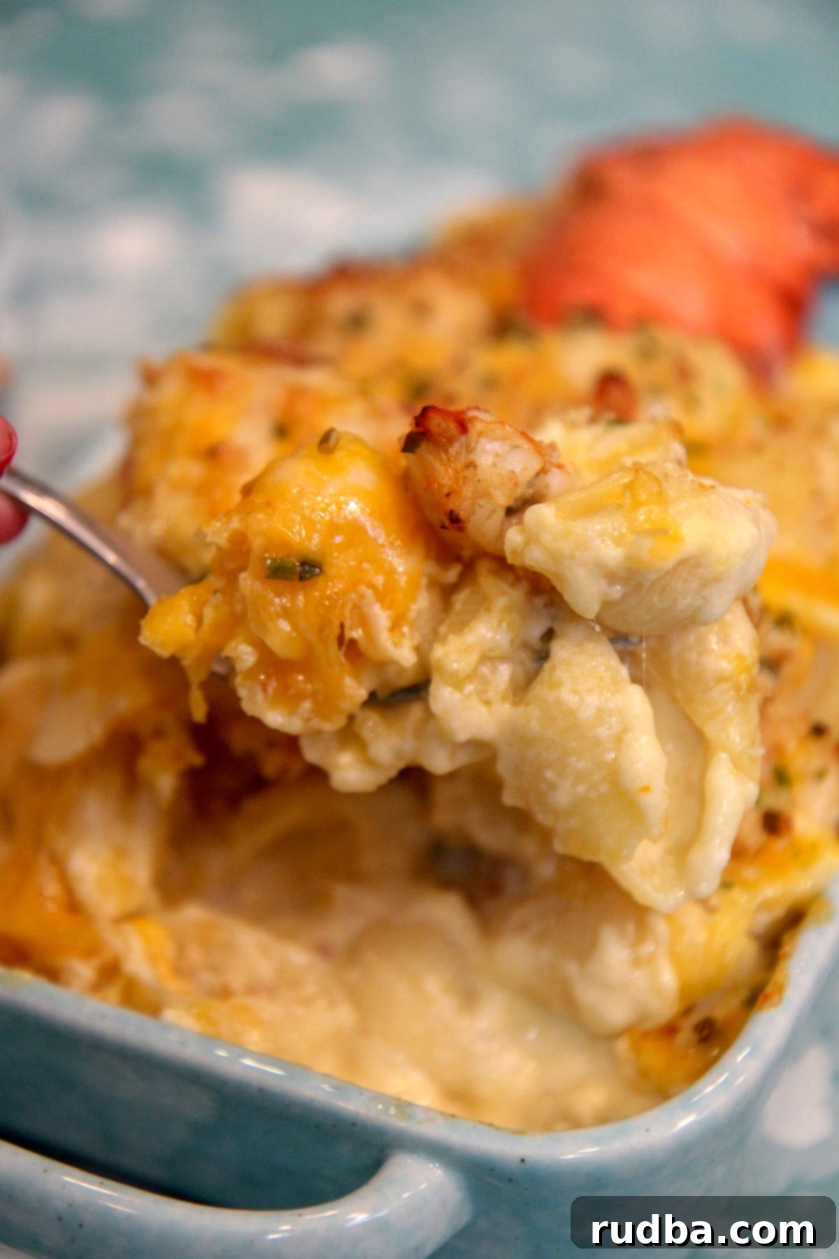 Decadent Lobster Mac and Cheese 3 a spoonful of lobster mac and cheese