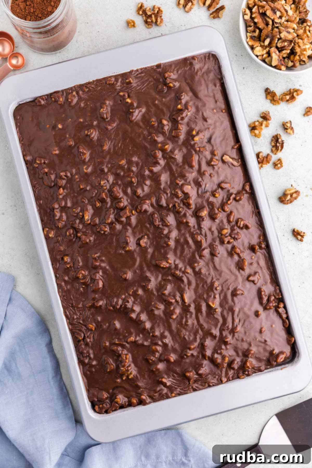 A large, rectangular Texas Chocolate Sheet Cake baked in a 9x13 inch pan, generously covered with warm chocolate frosting and sprinkled with chopped walnuts, ready to be served. 