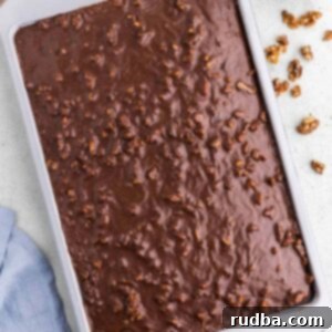 A 9x13 chocolate cake with frosting and walnuts.