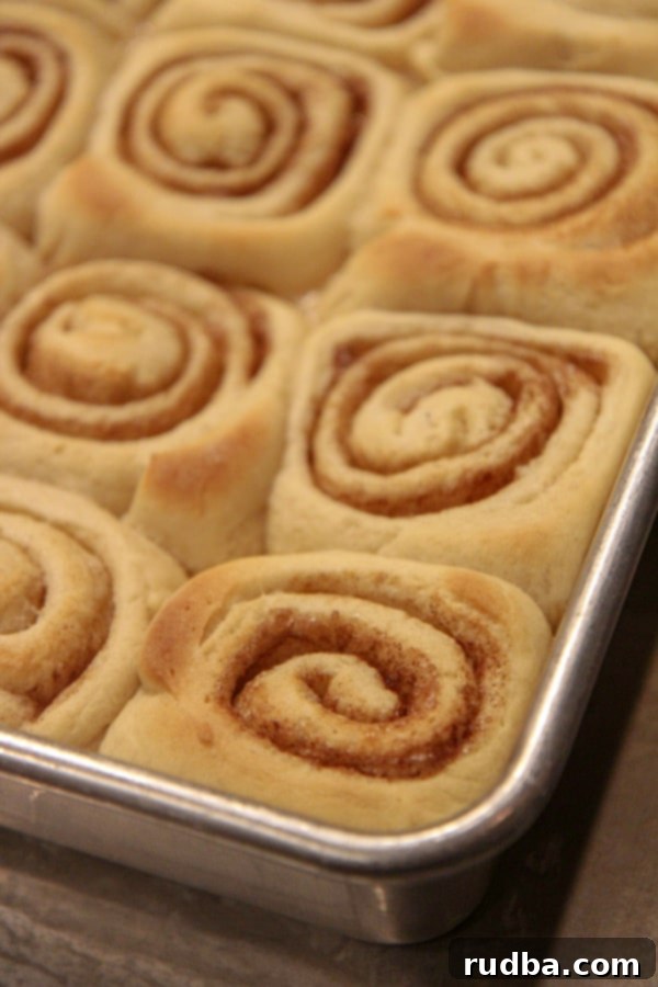 Cinnamon rolls in a pan
