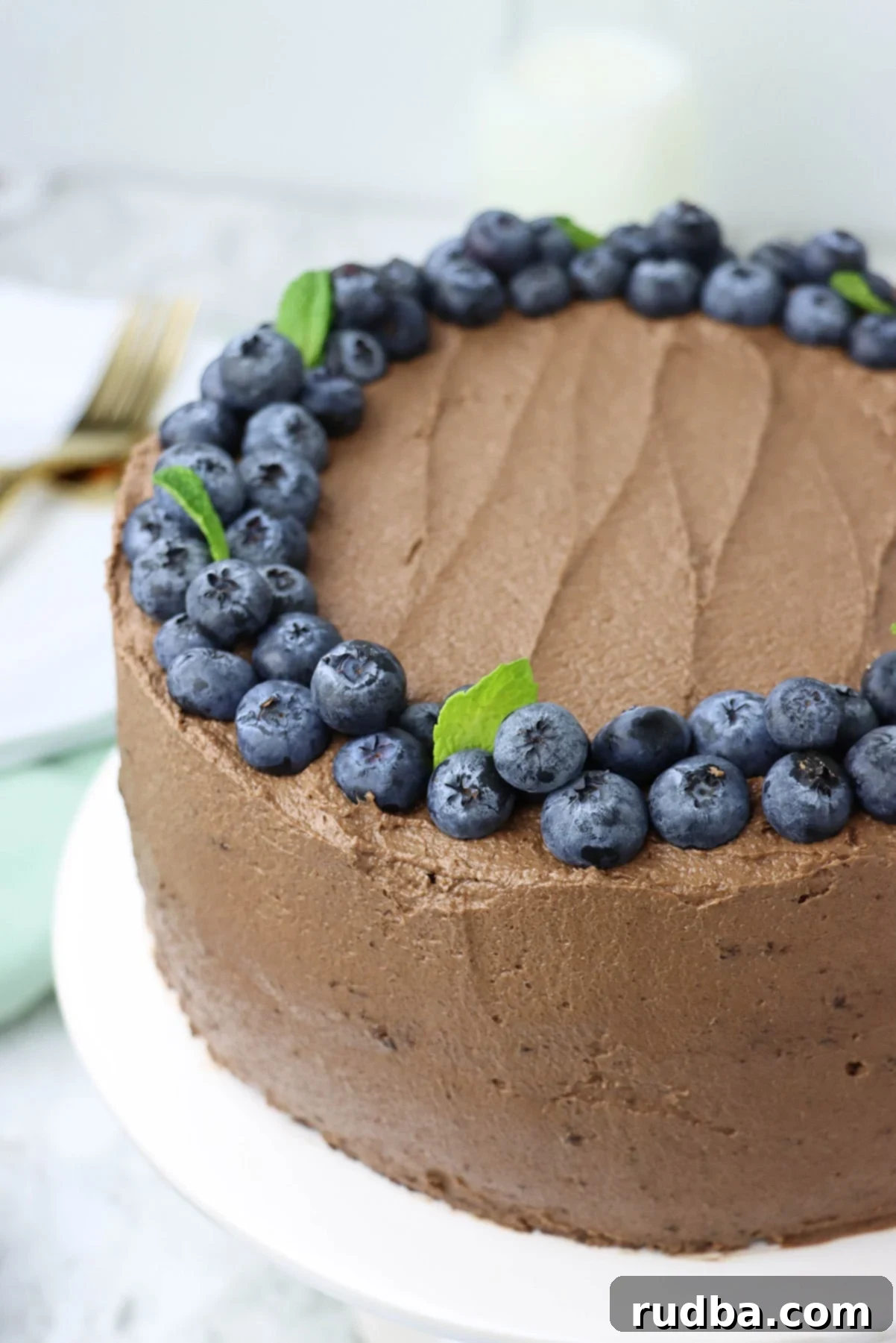 Two-layer chocolate cake with fresh blueberries and mint on top, showcasing a rich, dark chocolate color and smooth frosting.