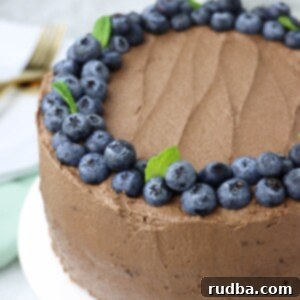 Decadent Double Chocolate Dream Cake 8 Two-layer chocolate cake with fresh blueberries and mint on top.