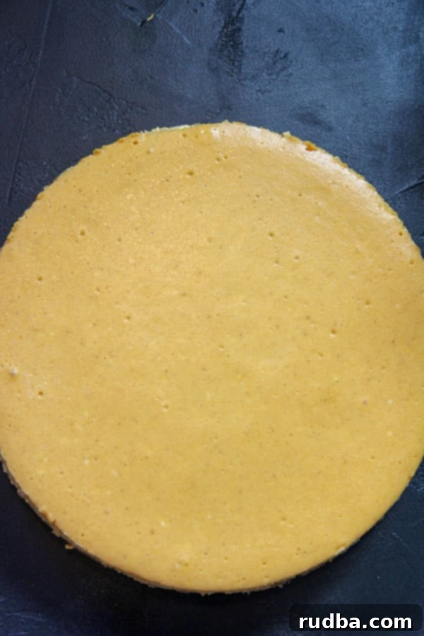 Baked Pumpkin Cognac Cheesecake Cooling