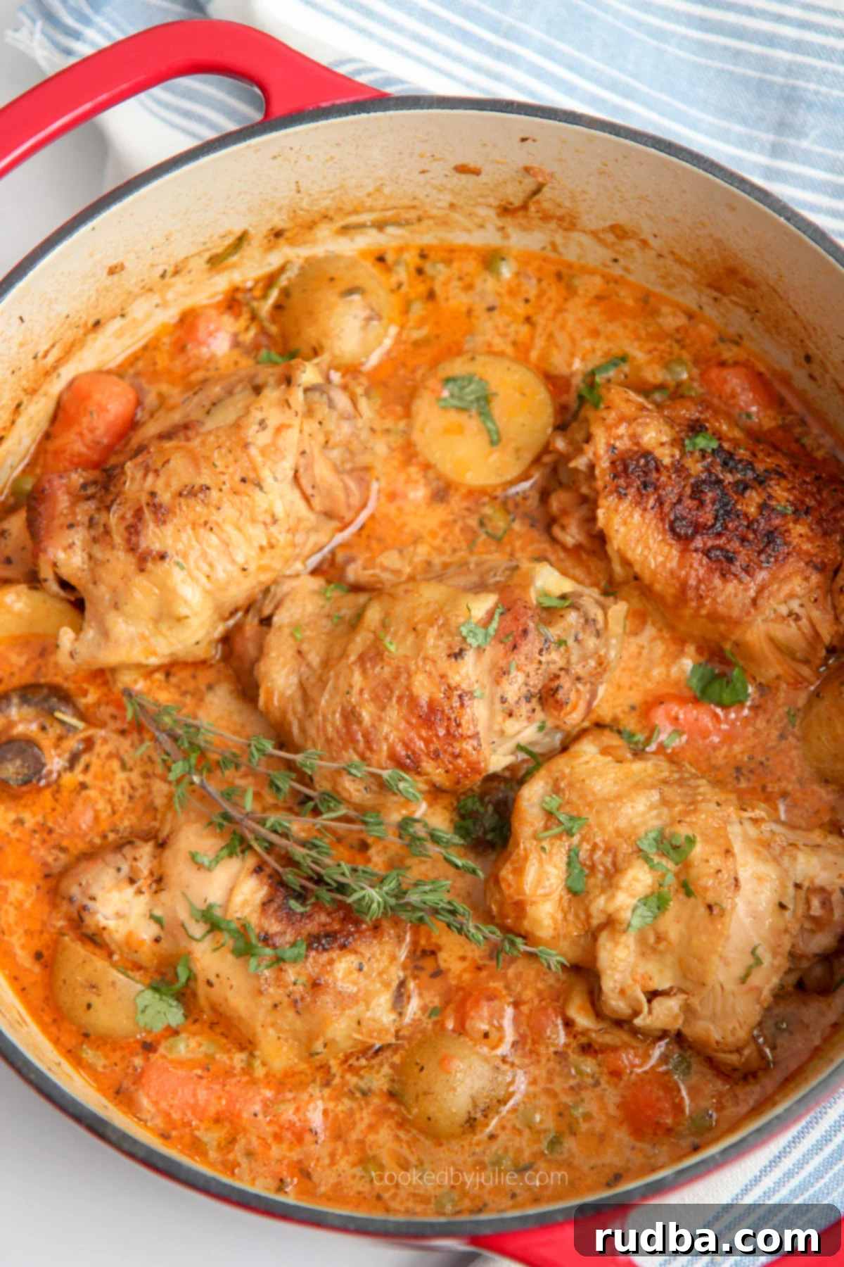 chicken stew in a dutch oven