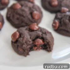 Decadent Double Chocolate Cookies 5 chocolate cookie bitten into on a white plate