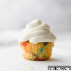 one funfetti cupcake with vanilla buttercream.