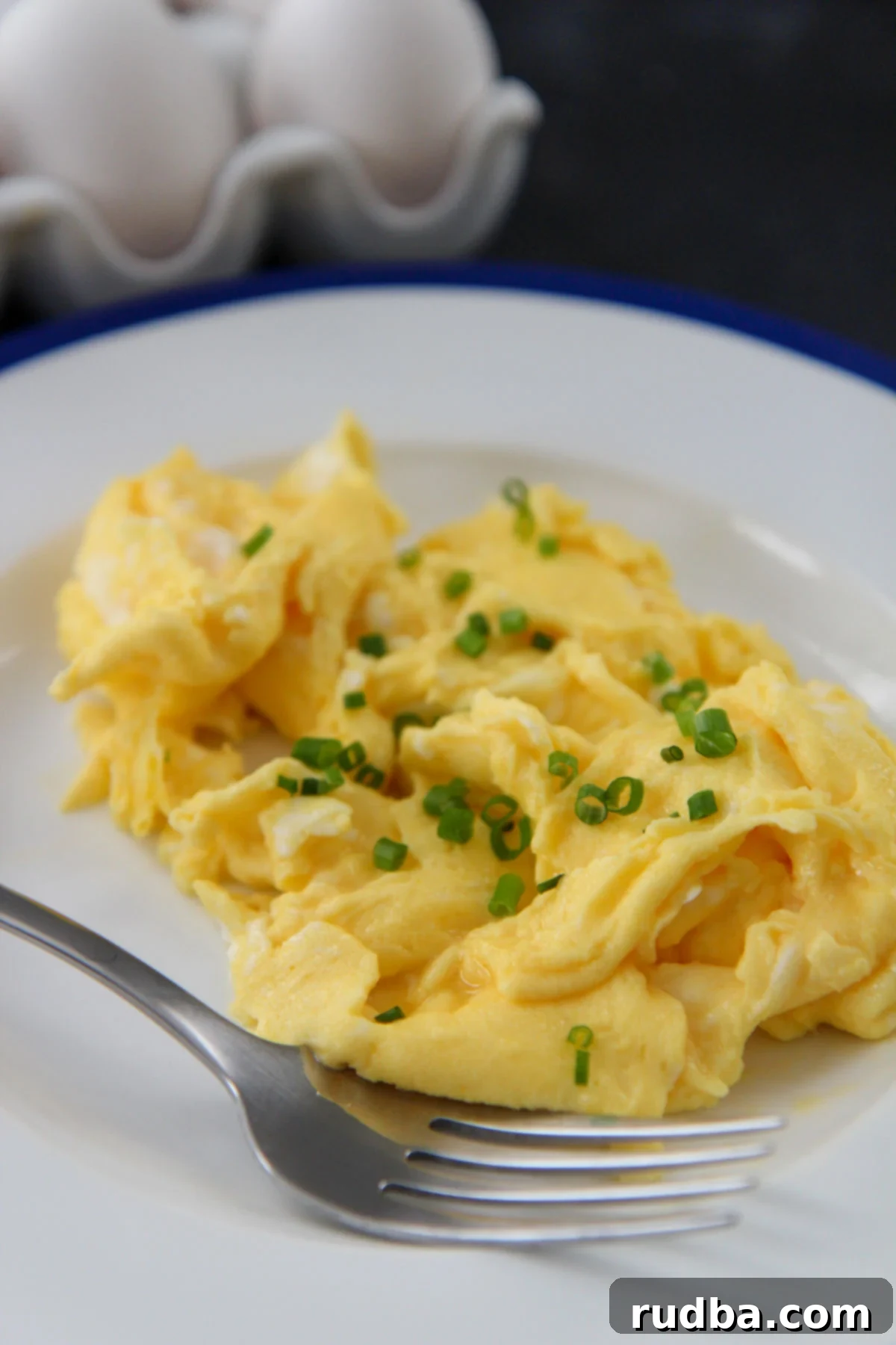 scrambled eggs with chives on a white and blue plate with a fork 