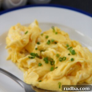 scrambled eggs with chives on a white and blue plate with a fork