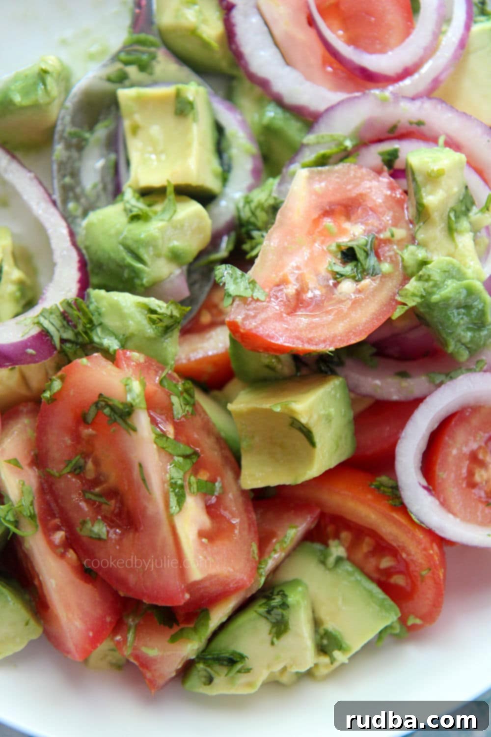 tomatoes, avocados, cilantro, and onions, up close 
