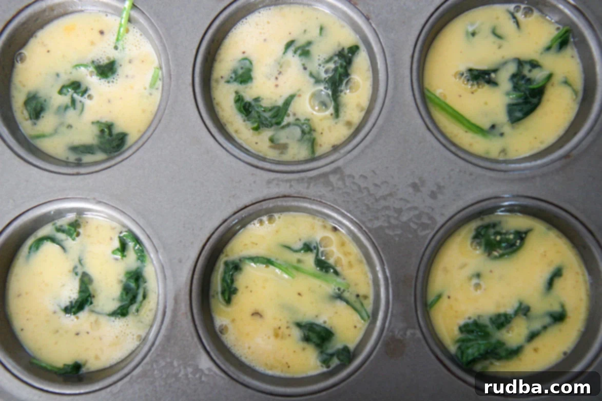 six scrambled eggs with spinach in a muffin tin before baking