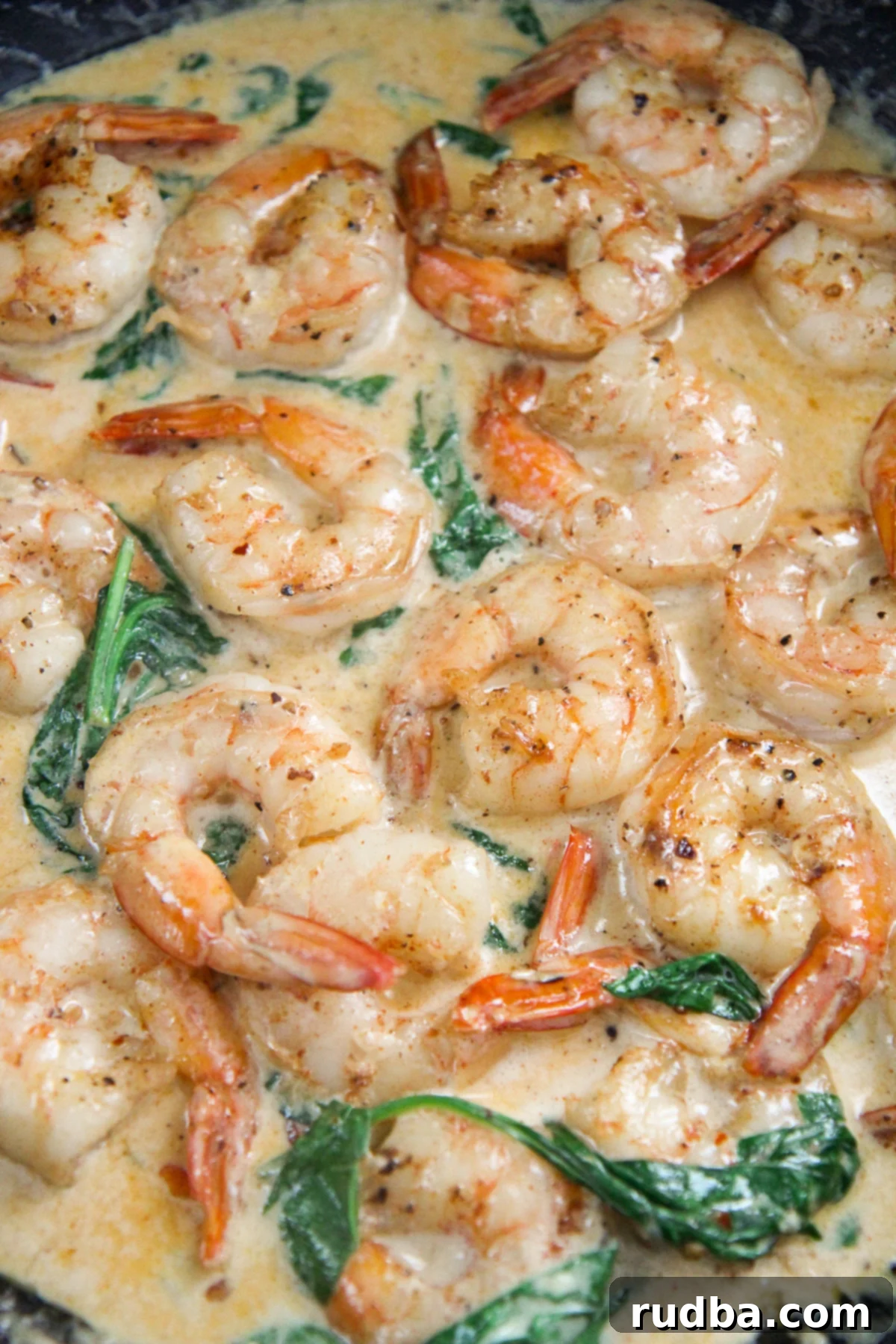 A close-up of creamy shrimp with spinach, showing the individual shrimp coated in sauce