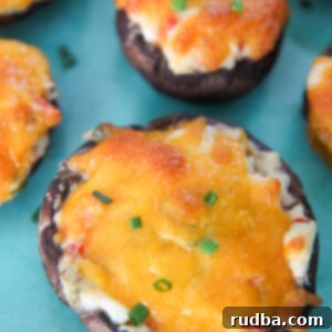 stuffed mushrooms with green chives on top of a blue plate