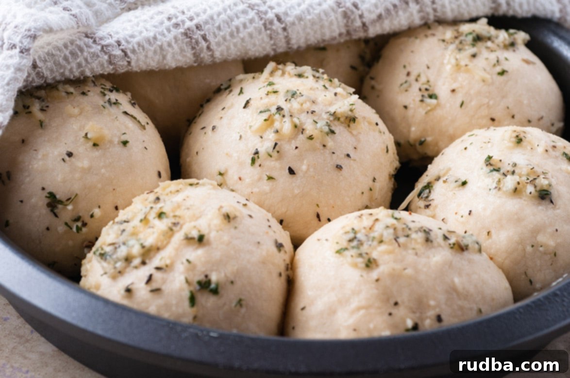 balls of dough rising