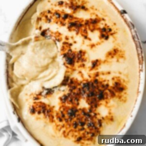 Creamy Cheesy Scalloped Potatoes 5 scalloped potatoes in a white casserole dish.