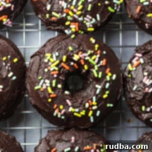 Decadent Baked Chocolate Delights 2 baked chocolate donuts with sprinkles up close.