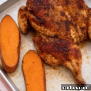 Cooked spatchcock chicken with roasted sweet potatoes on a sheet pan.